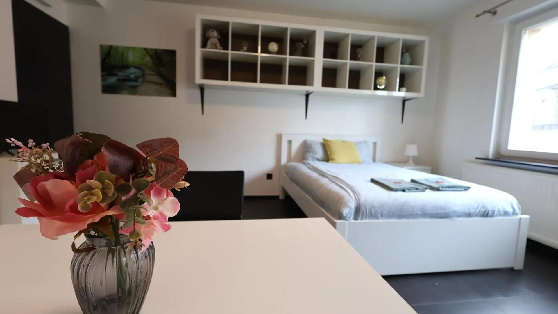 Apartment Near Train Station لوكسمبورغ